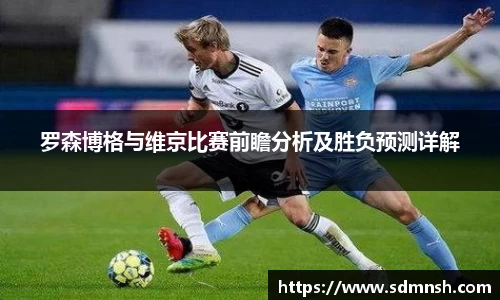 罗森博格与维京比赛前瞻分析及胜负预测详解