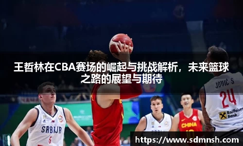 王哲林在CBA赛场的崛起与挑战解析，未来篮球之路的展望与期待