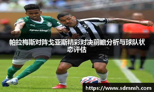 帕拉梅斯对阵戈亚斯精彩对决前瞻分析与球队状态评估
