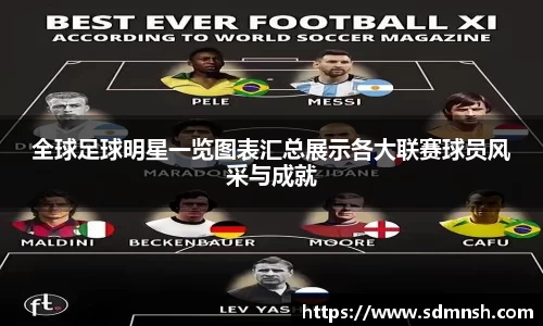 全球足球明星一览图表汇总展示各大联赛球员风采与成就