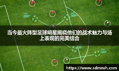 当今最火阵型足球明星揭晓他们的战术魅力与场上表现的完美结合
